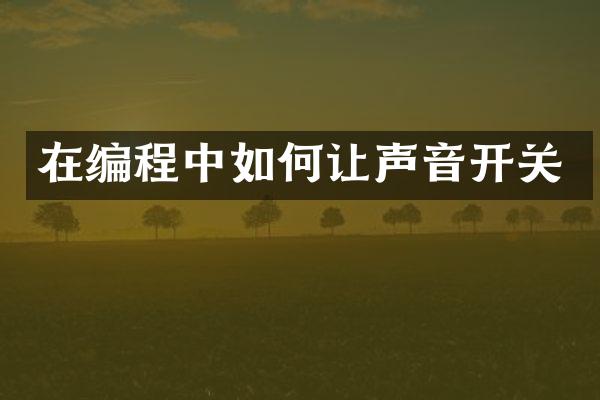 在编程中如何让声音开关