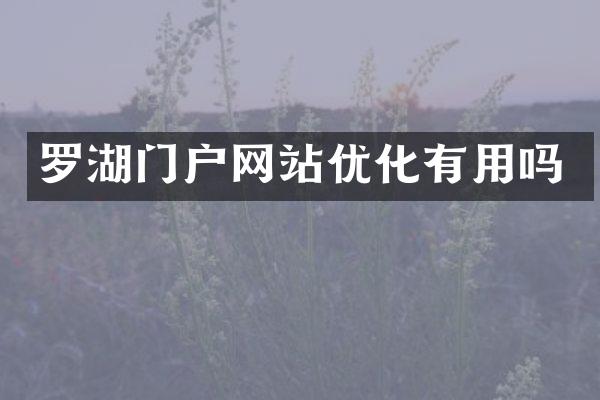 罗湖门户网站优化有用吗
