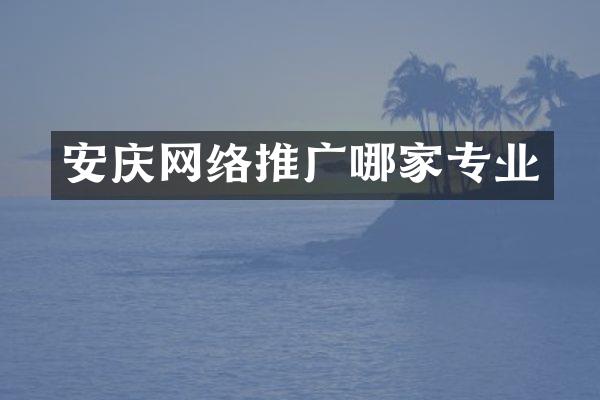 安庆网络推广哪家专业