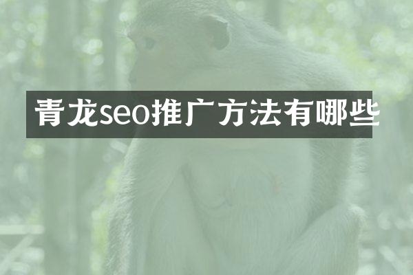 青龙seo推广方法有哪些