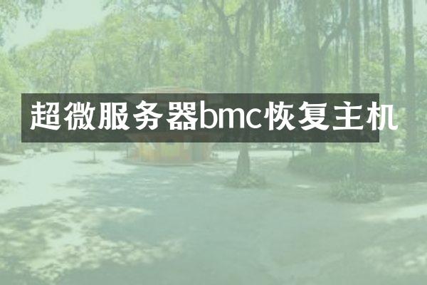 超微服务器bmc恢复主机