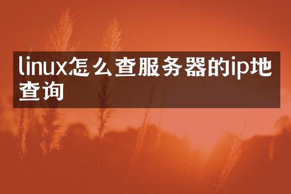 linux怎么查服务器的ip地址查询