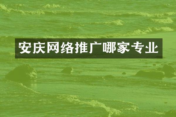 安庆网络推广哪家专业