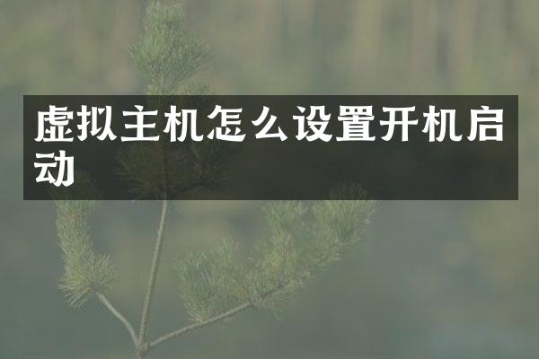 虚拟主机怎么设置开机启动