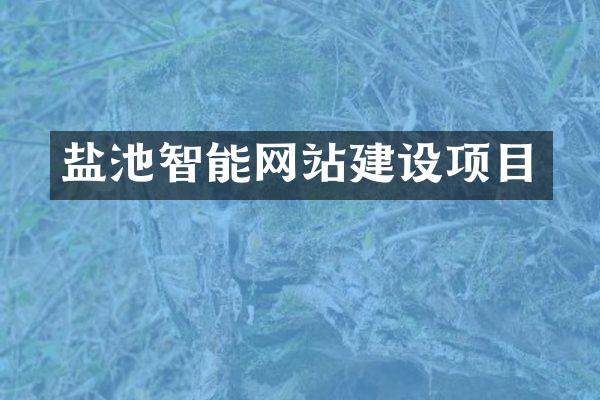 盐池智能网站建设项目