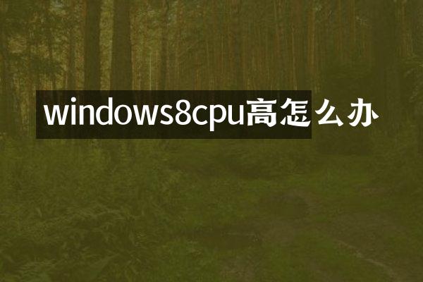 windows8cpu高怎么办