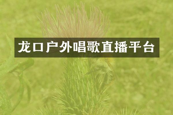 龙口户外唱歌直播平台