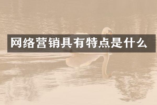 网络营销具有特点是什么