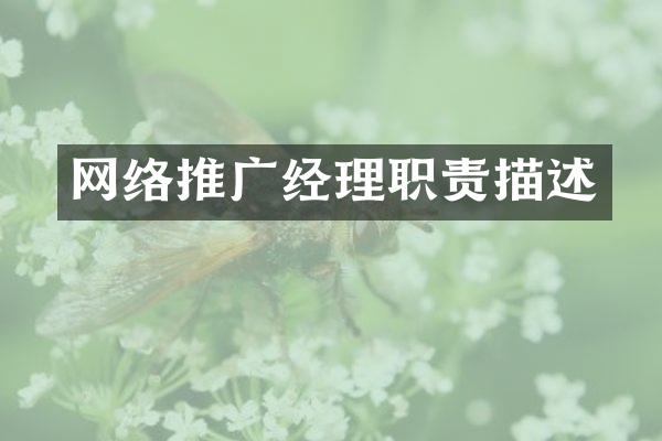 网络推广经理职责描述