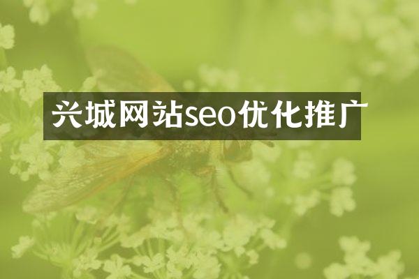 兴城网站seo优化推广