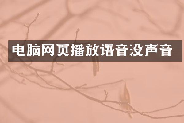 电脑网页播放语音没声音