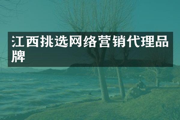 江西挑选网络营销代理品牌