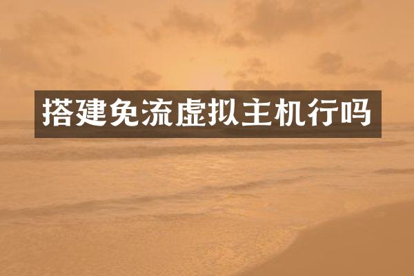 搭建免流虚拟主机行吗