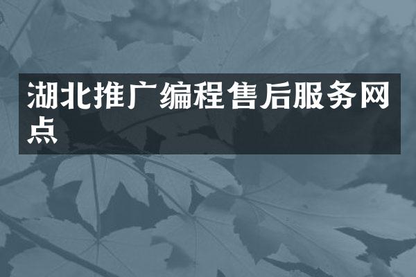 湖北推广编程售后服务网点