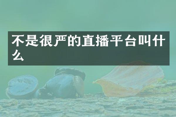 不是很严的直播平台叫什么