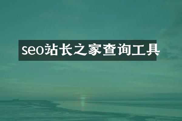 seo站长之家查询工具