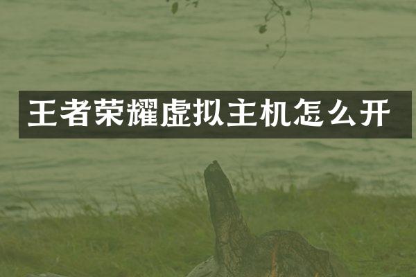 王者荣耀虚拟主机怎么开