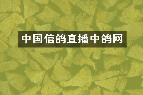 中国信鸽直播中鸽网