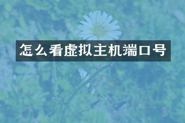 怎么看虚拟主机端口号