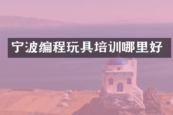 宁波编程玩具培训哪里好