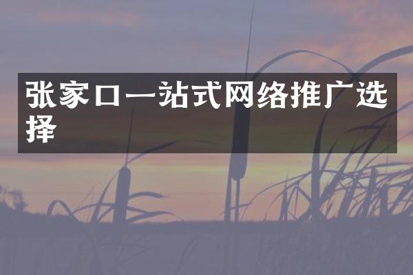 张家口一站式网络推广选择