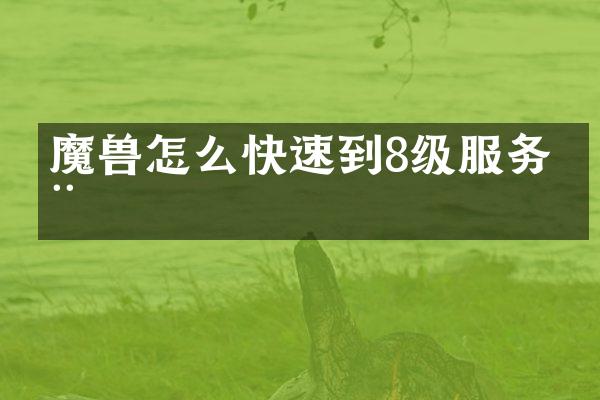魔兽怎么快速到8级服务器