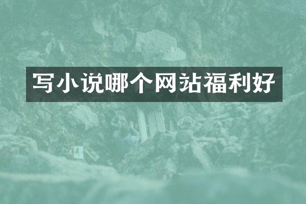 写小说哪个网站福利好