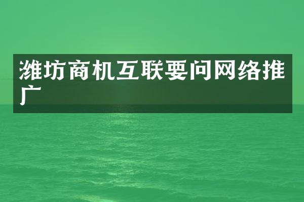 潍坊商机互联要问网络推广
