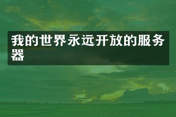 我的世界永远开放的服务器