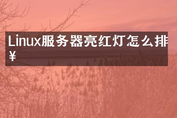 Linux服务器亮红灯怎么排查