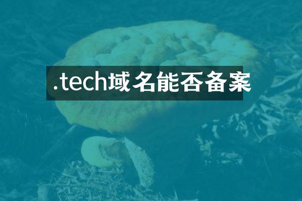.tech域名能否备案