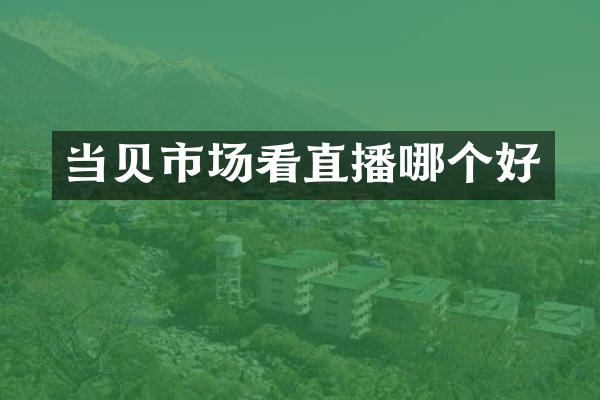 当贝市场看直播哪个好