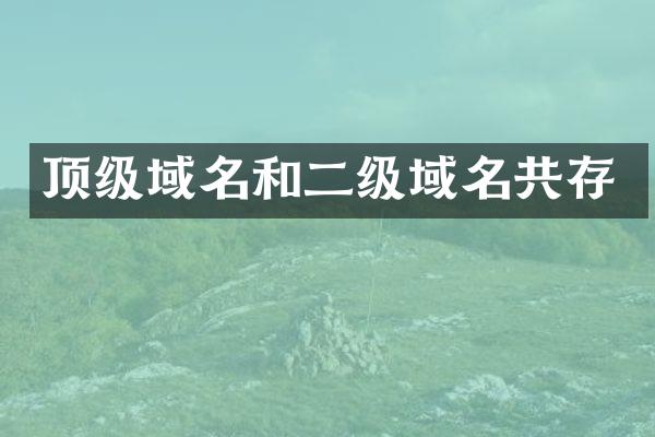 顶级域名和二级域名共存