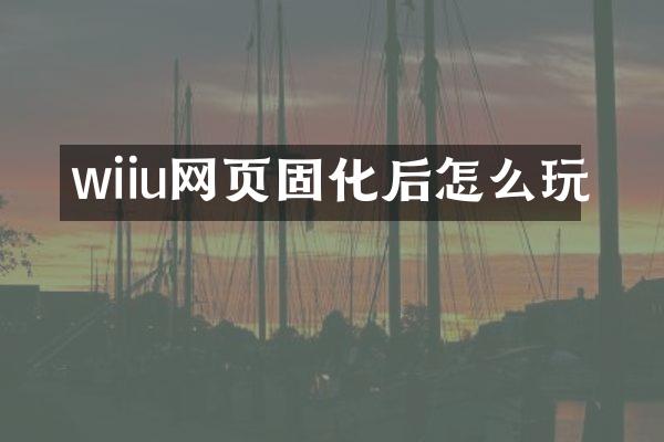 wiiu网页固化后怎么玩