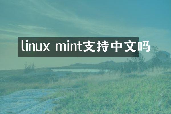 linux mint支持中文吗