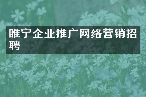 睢宁企业推广网络营销招聘