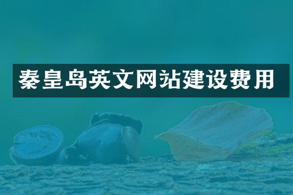 秦皇岛英文网站建设费用