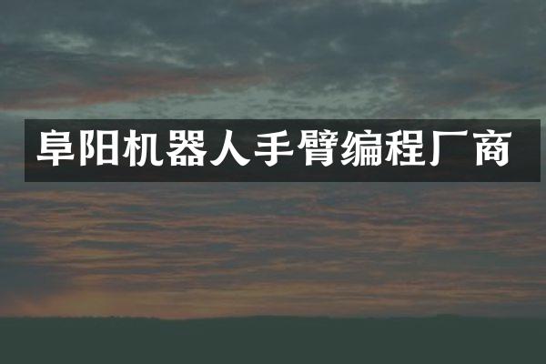阜阳机器人手臂编程厂商