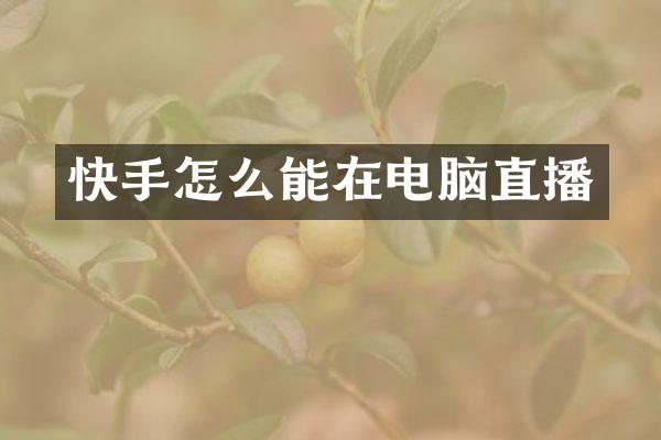 快手怎么能在电脑直播