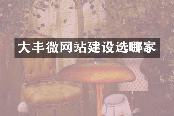 大丰微网站建设选哪家