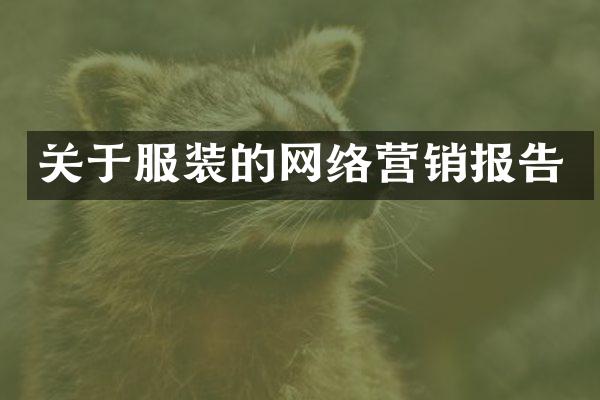 关于服装的网络营销报告