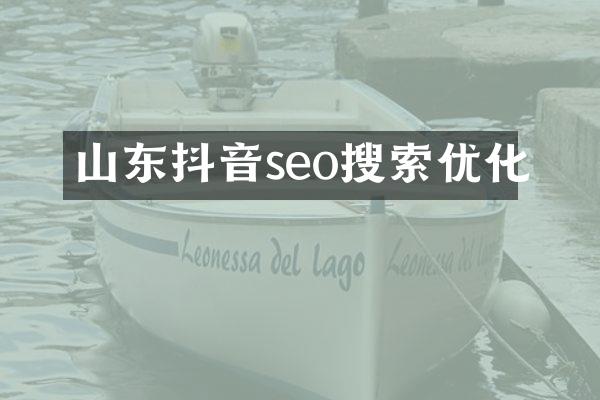 山东抖音seo搜索优化