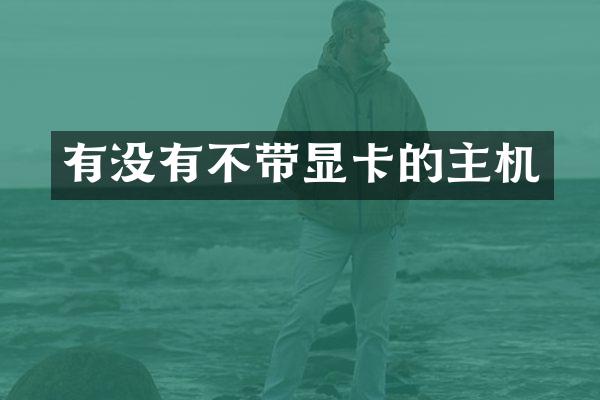 有没有不带显卡的主机