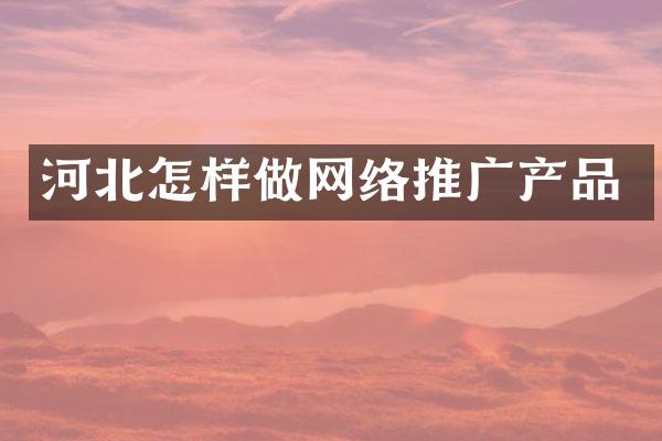 河北怎样做网络推广产品