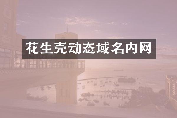 花生壳动态域名内网