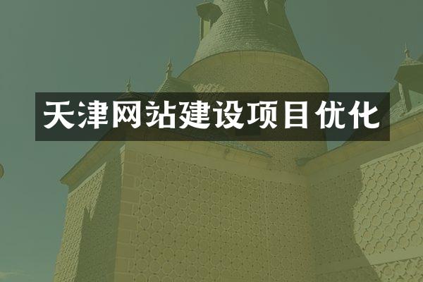 天津网站建设项目优化