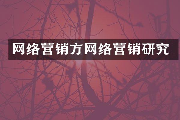 网络营销方网络营销研究
