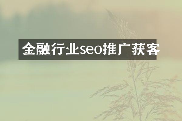金融行业seo推广获客