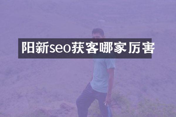 阳新seo获客哪家厉害