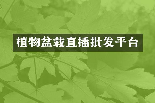 植物盆栽直播批发平台